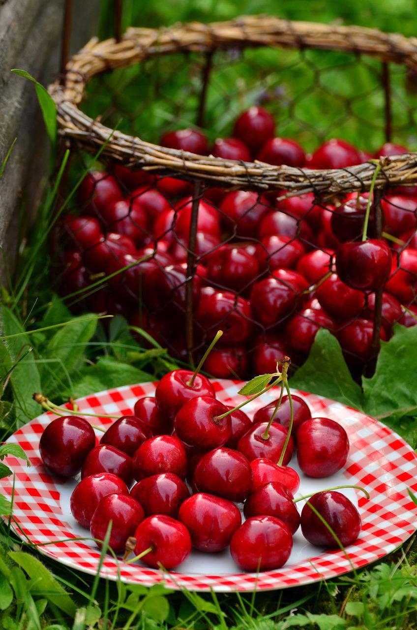 cherries, fruit, sweet cherry-1503977.jpg